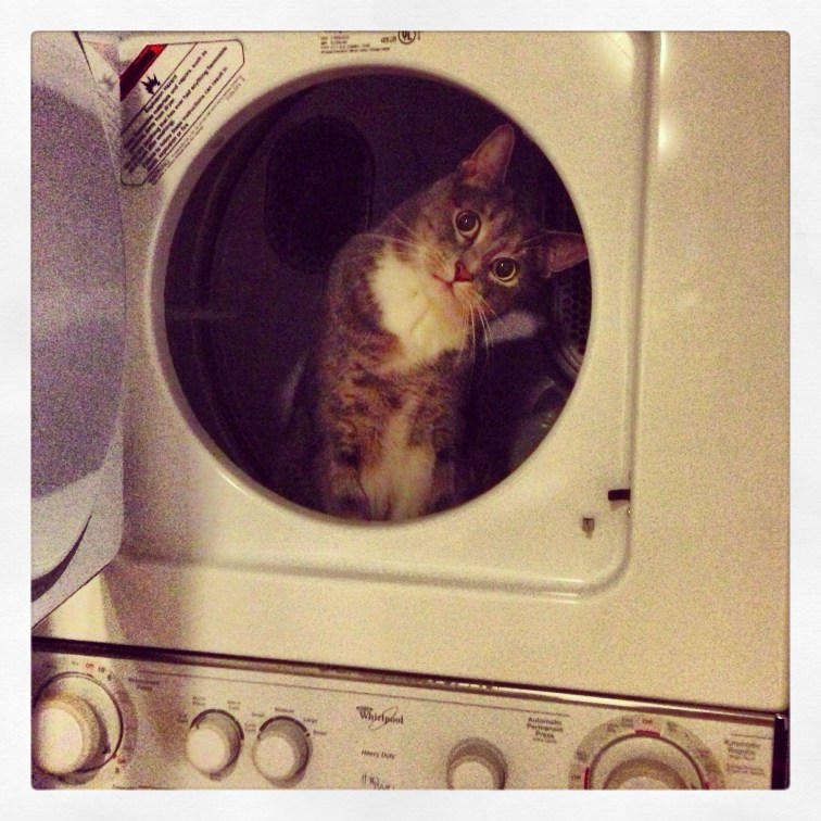 Thomas TV - for our daily viewing pleasure