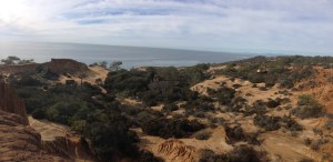 Torrey Pines