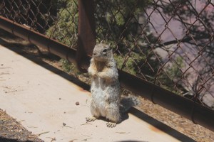 "Thanks, I'll be here all night."